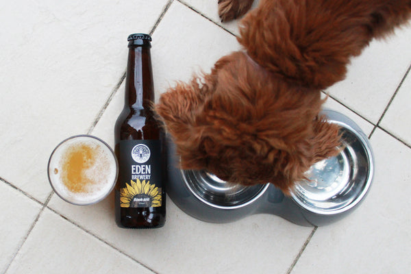 EDEN BREWERY BIRCH WIT