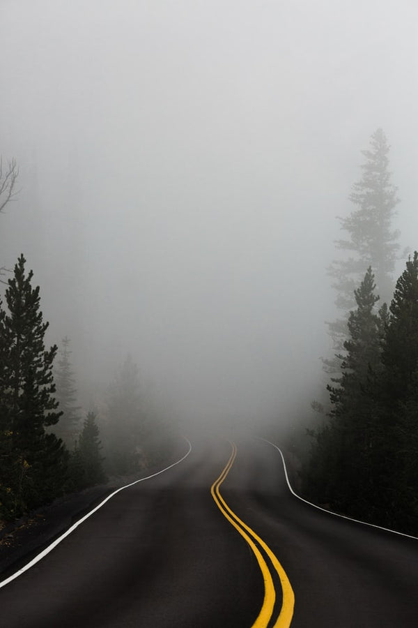 #fridayfacts Sometimes it's best we can't see past the fog!